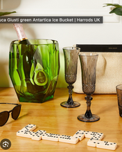 Load image into Gallery viewer, Antarctica Ice Bucket - Mario Luca Giusti