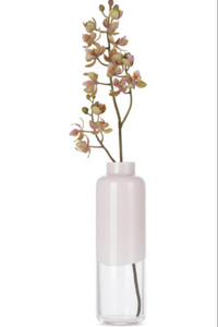 Magnolia Vase - Pink top & Clear bottom
